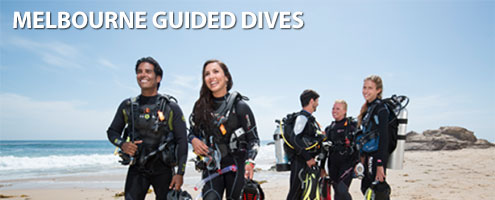 Melbourne Guided Dives Melbourne Guided Dives
