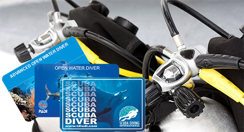 Certified Divers Only Certified Divers Only