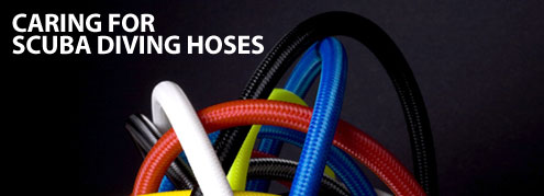 Caring For Scuba Diving Hoses Caring For Scuba Diving Hoses
