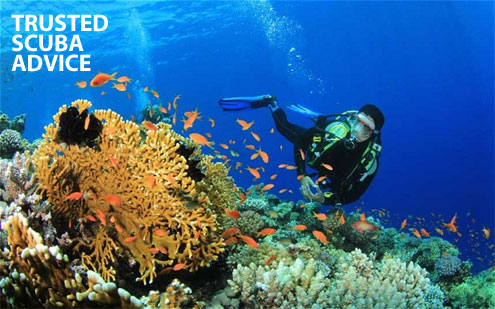 Trusted Scuba Advice from The Scuba Doctor Trusted Scuba Advice from The Scuba Doctor