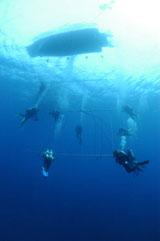 Bikini Decompression Trapeze