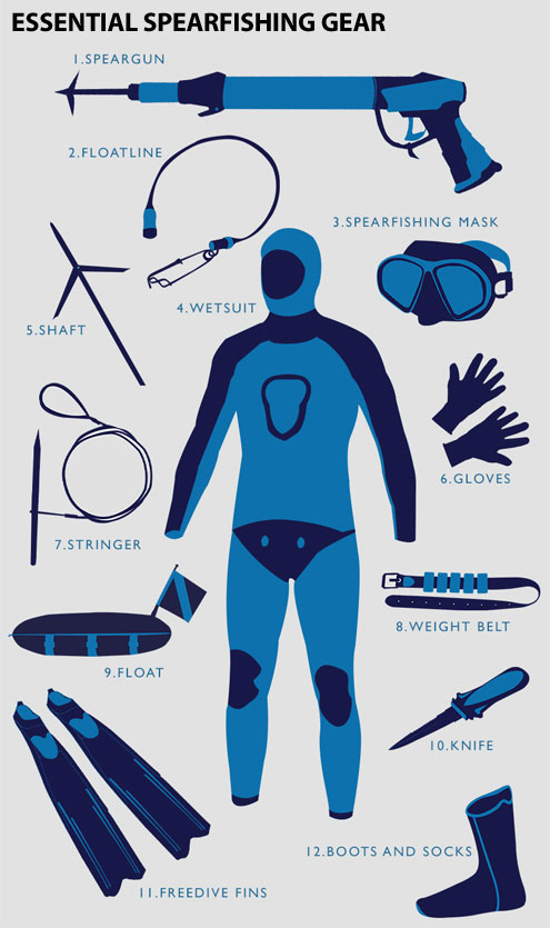 Essential Spearfishing Gear