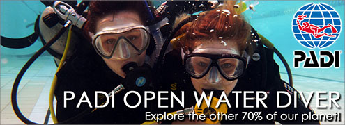 PADI Open Water Diver Course