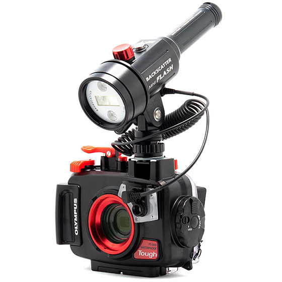 Backscatter Mini Flash MF-1 with Olympus TG-6