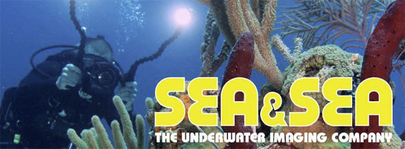 Sea & Sea Authorised Dealer