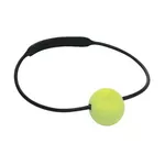 IST Proline Tank Banger